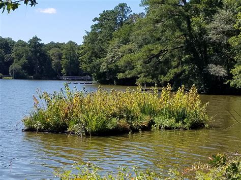 Delaware State Parks attendance soars to another record - WHYY