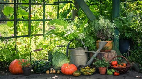 Harvest in the Garden with Vegetables and Fruits Stock Image - Image of healthy, vegetables ...