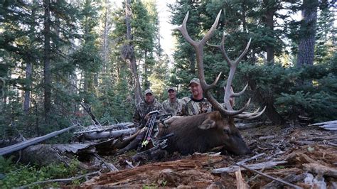 Bowhunting elk in New Mexico - YouTube