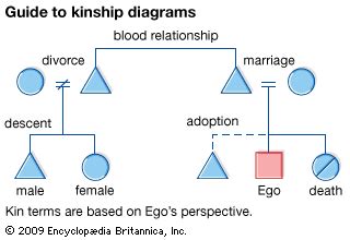 Kinship Relationship Chart