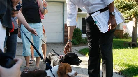 Obama: Getting a family dog isn't easy | MPR News