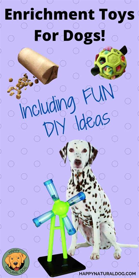 Cognitive Enrichment Activities for Dogs - Including Clever Dog Enrichment Toys You Can Make ...