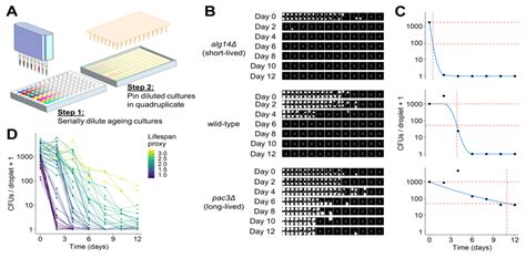 Development of robotics-based CFU assay. (A) Scheme of high-throughput ...