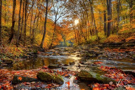 Autumn Landscape Autumn Trees Landscape Photo Fall | Etsy | Autumn ...