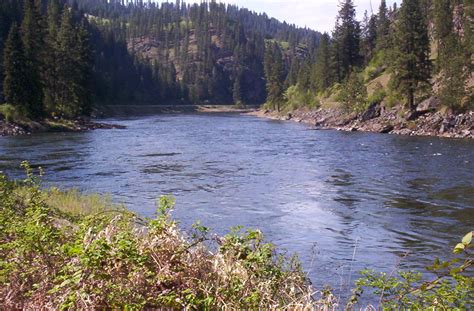 Clearwater River near Orofino, Idaho | River, Orofino, Clear water