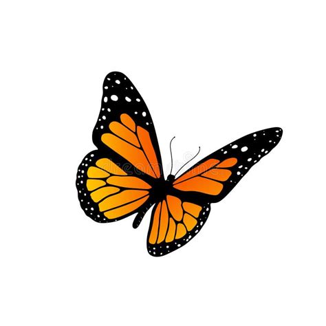 Free Monarch Butterfly Clipart