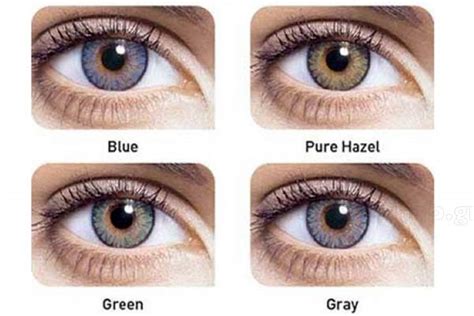 CONTACT LENSES Alcon Freshlook one day Coloured Eye-Shop