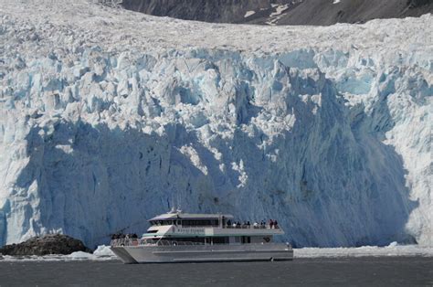 Seward Wildlife Cruises