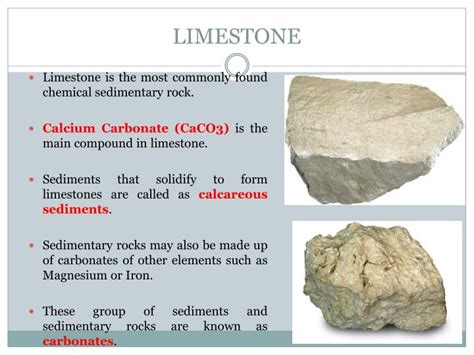 PPT - Biogenic and Chemical Sedimentary Rocks PowerPoint Presentation - ID:6500858