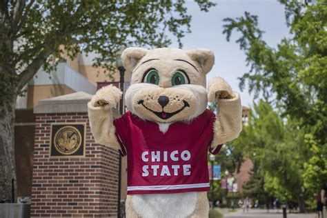 Student Accounts – Student Financial Services – Chico State