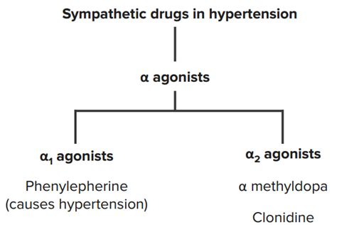 Alpha and Beta Blockers | The Lecturio Medical Online Library