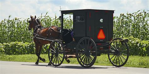 o-AMISH-HORSE-AND-BUGGY-facebook - Educational Travel Service Inc