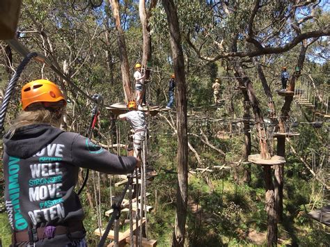 TREE SURFING AUSTRALIA (Arthurs Seat) - All You Need to Know BEFORE You Go