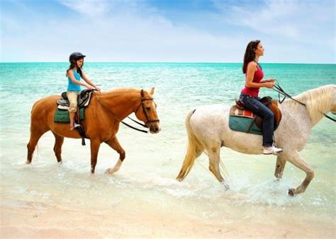 Happy Trails Horseback Riding | Bahamas vacation, Horseback riding, Paradise island