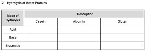 Solved 2. Hydrolysis of Intact Proteins | Chegg.com