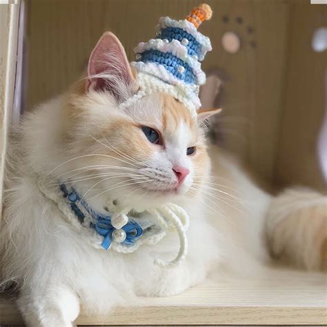 Cat Birthday Cake Hats | Cute Best Birthday Cake Hats