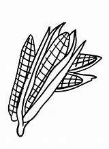 50  Corn Coloring Pages Free Printable PDF JPG PNG & Online sketch template