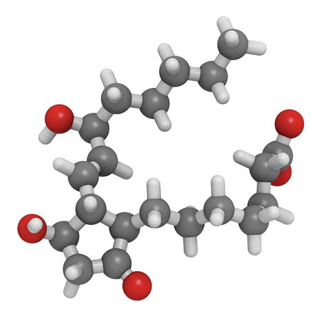 Prostaglandin E1 Drug Molecule Photograph by Molekuul/science Photo Library - Fine Art America