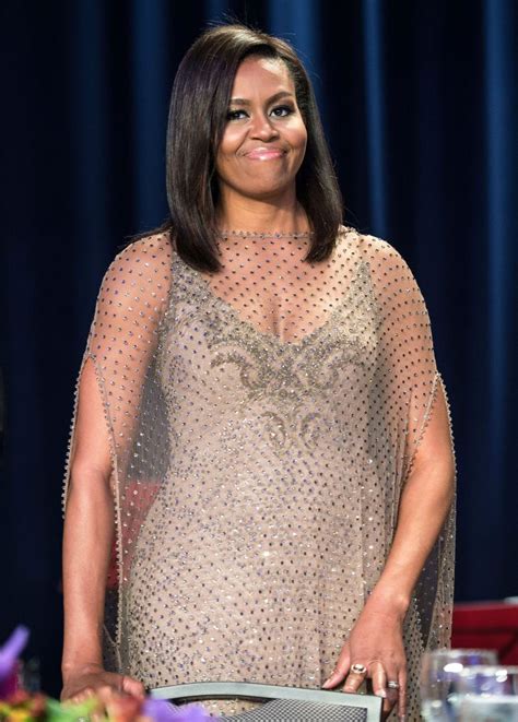 Michelle Obama Wears Sheer Dress for WHCD 2016: Photo