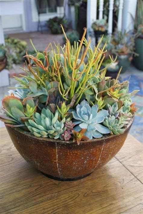 40+ Magnificient Succulent Plants Ideas For Indoor And Outdoor In ...