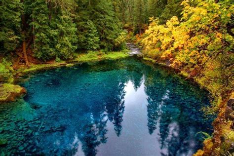 Blue Mountain Hiking Trail, Oregon | Client Dreams ***Oregon ...