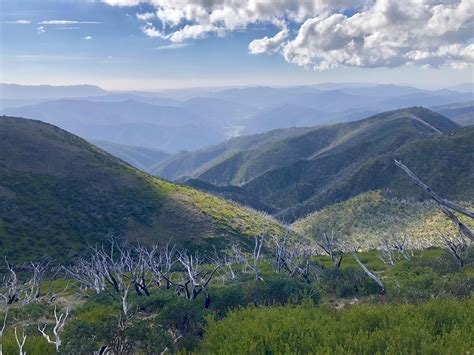 Approaching Mount Feathertop in the Victorian Alps, Australia - truely stunning! : r/hiking