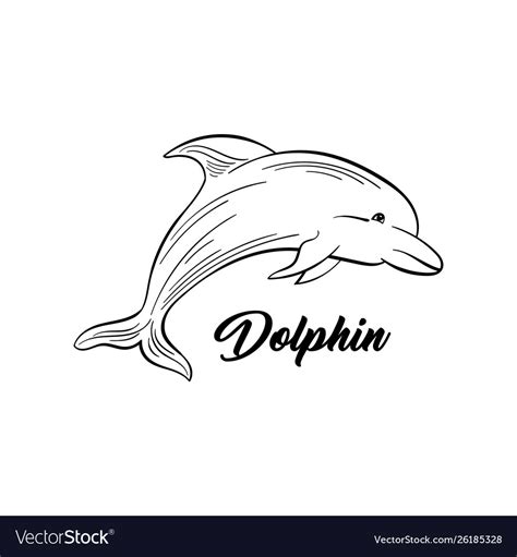 Dolphin black and white Royalty Free Vector Image