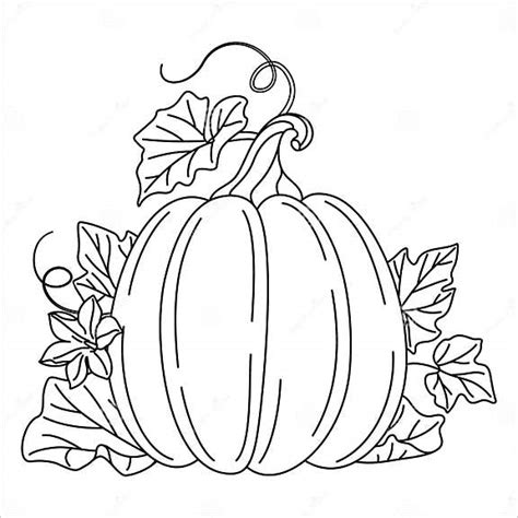 Pumpkin with Vines, Flower and Leaves Line Art Drawing Coloring Page ...