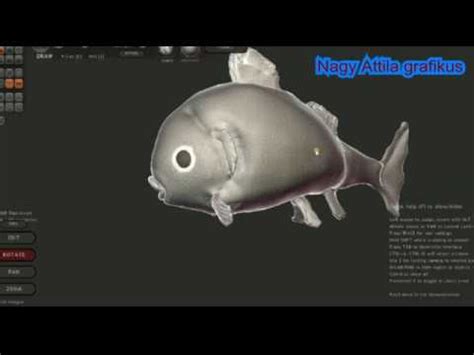 Sculptris 3D, Nagy Attila grafikus/Fish 3 D. Attila Nagy's graphical 3D ...