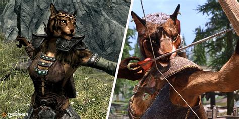 Las mejores Builds Khajiit en Skyrim – Guías y Juegos