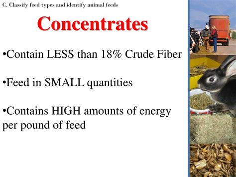 PPT - Animal Nutrition & Feeding PowerPoint Presentation, free download - ID:2570570