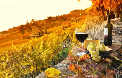 Top 5 Tours to visit Tuscany in Autumn