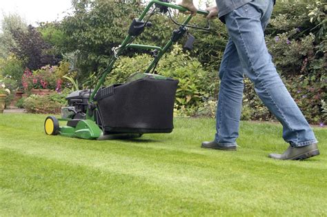 Choosing the Right Power for Your Green Companion - Buy Lawn Mower Batteries Near You ...