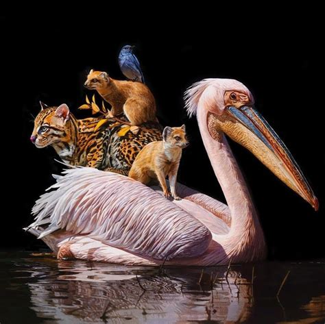 Lisa Ericson painting | Animal paintings, Unusual animals, Realistic ...