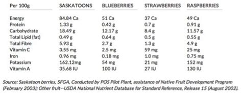 Benefits of Berries – BerryFirst Canada