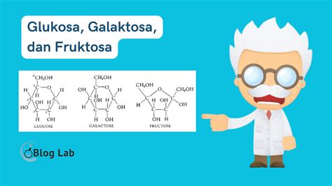 Penjelasan dan struktur kimia dari Glukosa, Galaktosa, dan Fruktosa