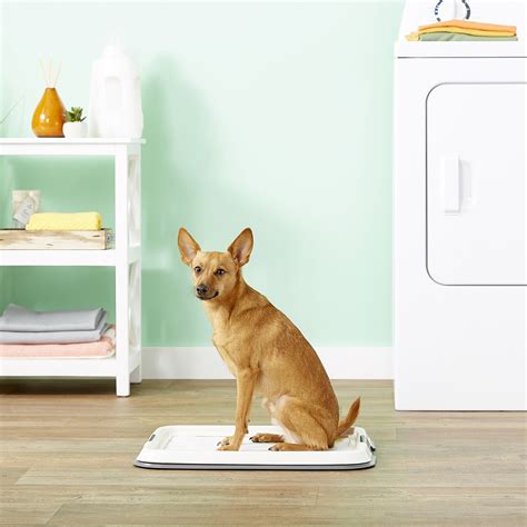 IRIS Dog & Puppy Training Pad Holder, Gray - Chewy.com