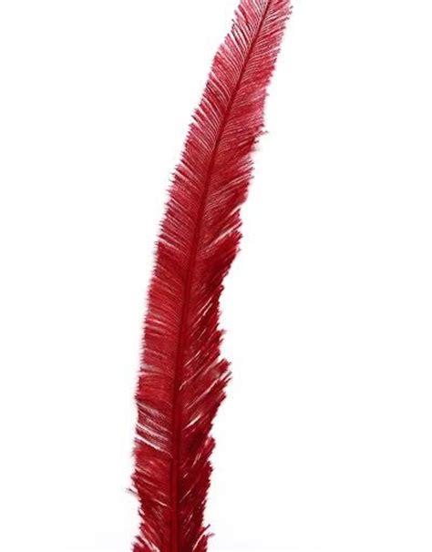 Nandu Feathers 20-25 Inch - Samaroo's Limited