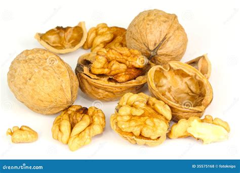 Walnuts, tree nuts stock photo. Image of fatty, nutrition - 35575168