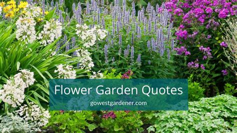 10 Flower Gardening Quotes for Inspiration & Fun