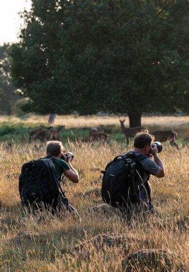 Wildlife Photography Workshop Twickenham | Gifts | ClassBento