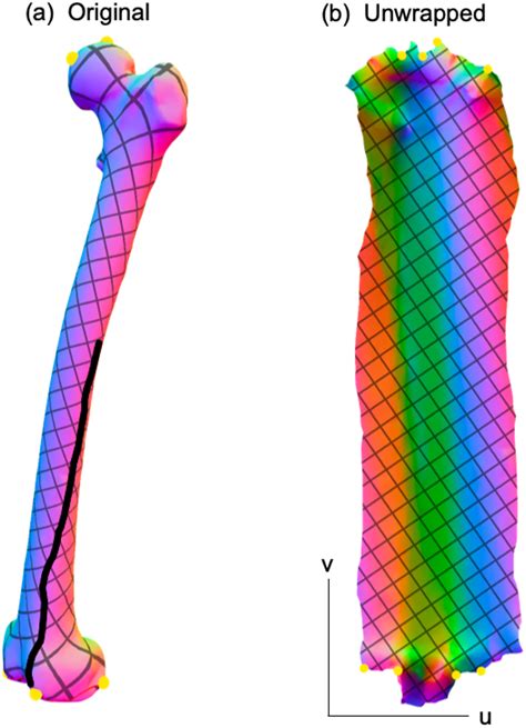 Landmark-free, parametric hypothesis tests regarding two-dimensional contour shapes using ...