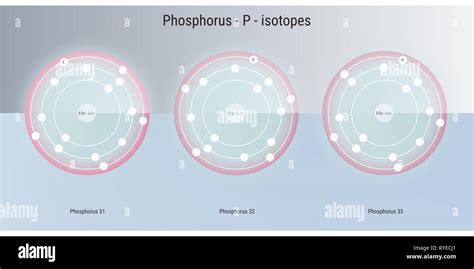 phosphorus chemical element isotopes atomic structure illustration ...