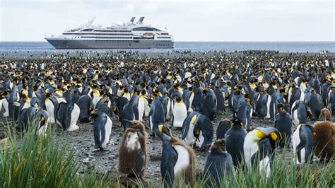 Best Antarctica Cruise Lines That Sail to Antarctica | Cruise Travel Outlet