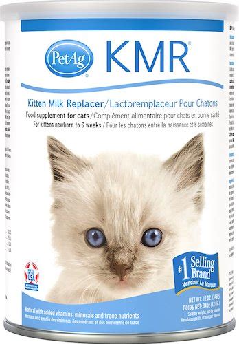 Kitten Formula | The Best Kitten Formulas for Nutrition in the First Weeks