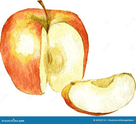 Whole Apple And Slice Realistic Vector Illustration. Raw Fruit Harvest ...