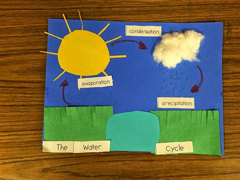 First Grade Fanatics: Water Cycle