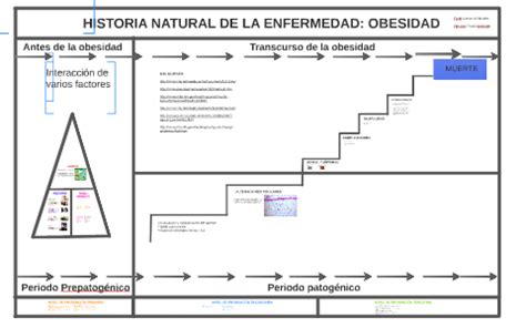 HISTORIA NATURAL DE LA ENFERMEDAD: OBESIDAD by Horacio Chapa on Prezi