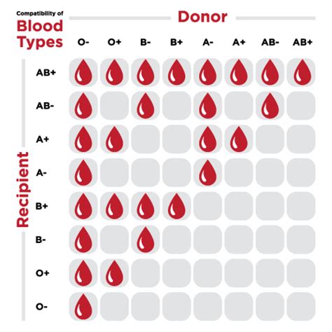 Blood type compatibility chart! : r/coolguides