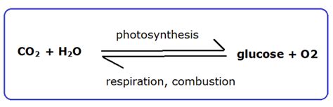 #145 Effects of combustion of fossil fuels on CO2 level | Biology Notes for IGCSE 2014 & 2024